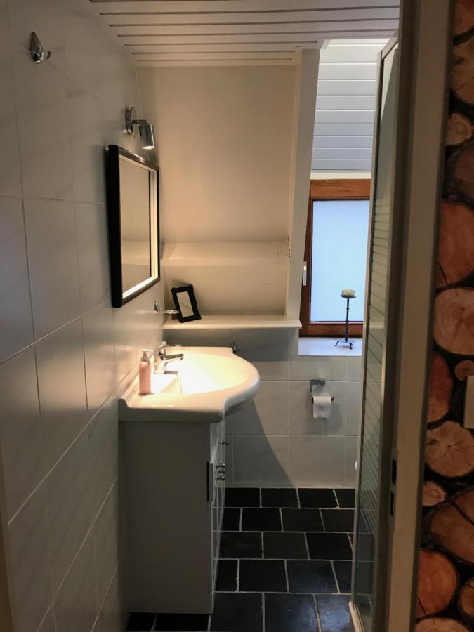 Heavenly Renovated Cabin Near Pittoresque Durbuy - Whistler 빌라 외부 사진