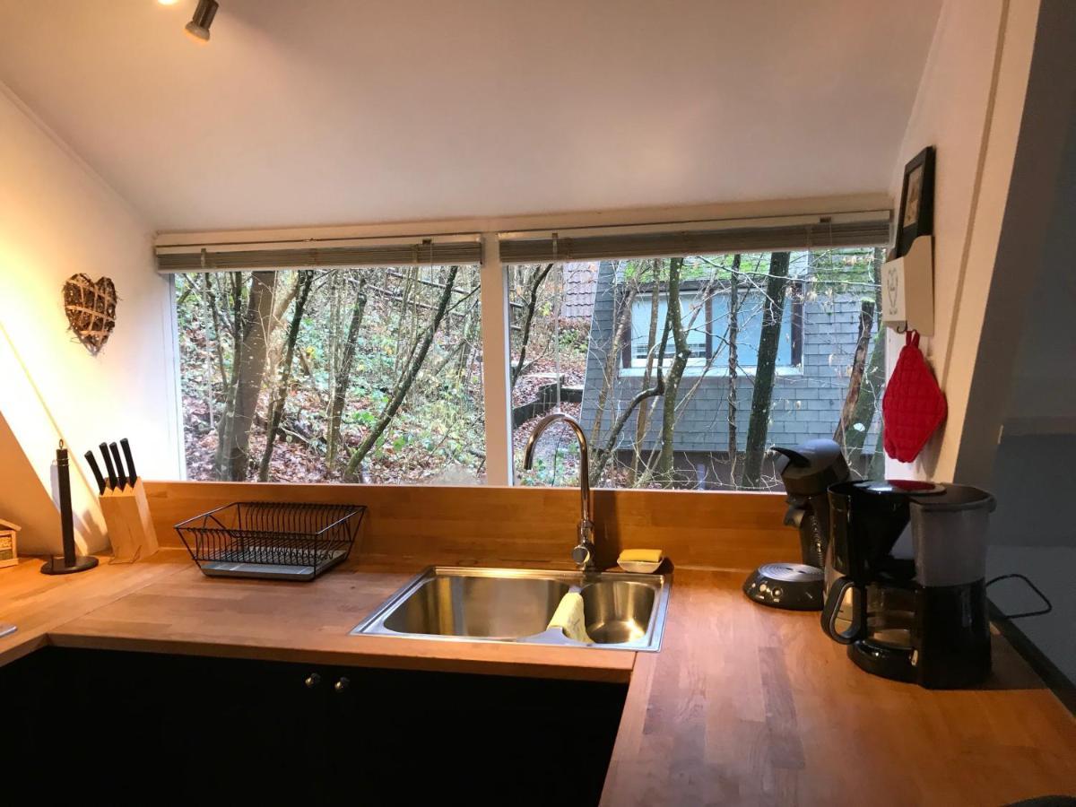 Heavenly Renovated Cabin Near Pittoresque Durbuy - Whistler 빌라 외부 사진